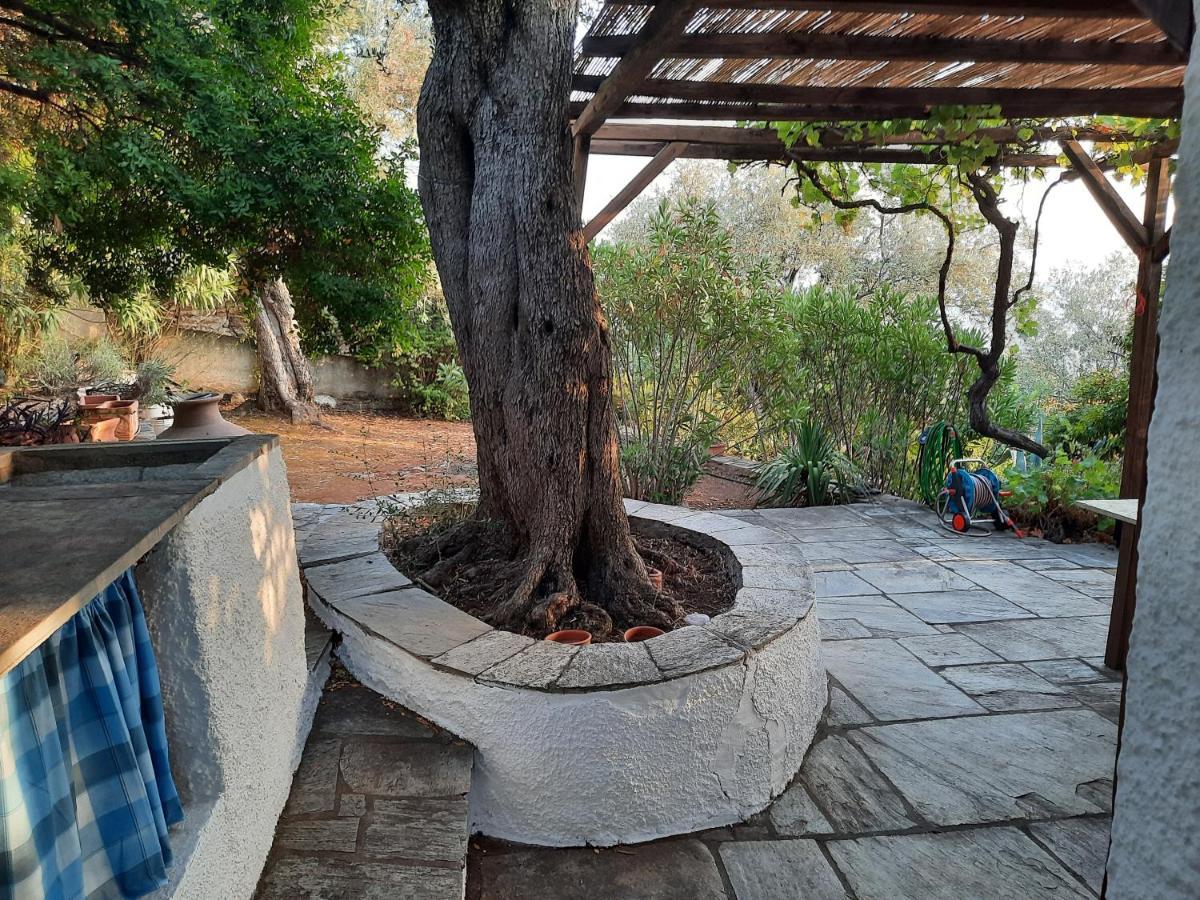 Villa Imelda Άφησσος Εξωτερικό φωτογραφία