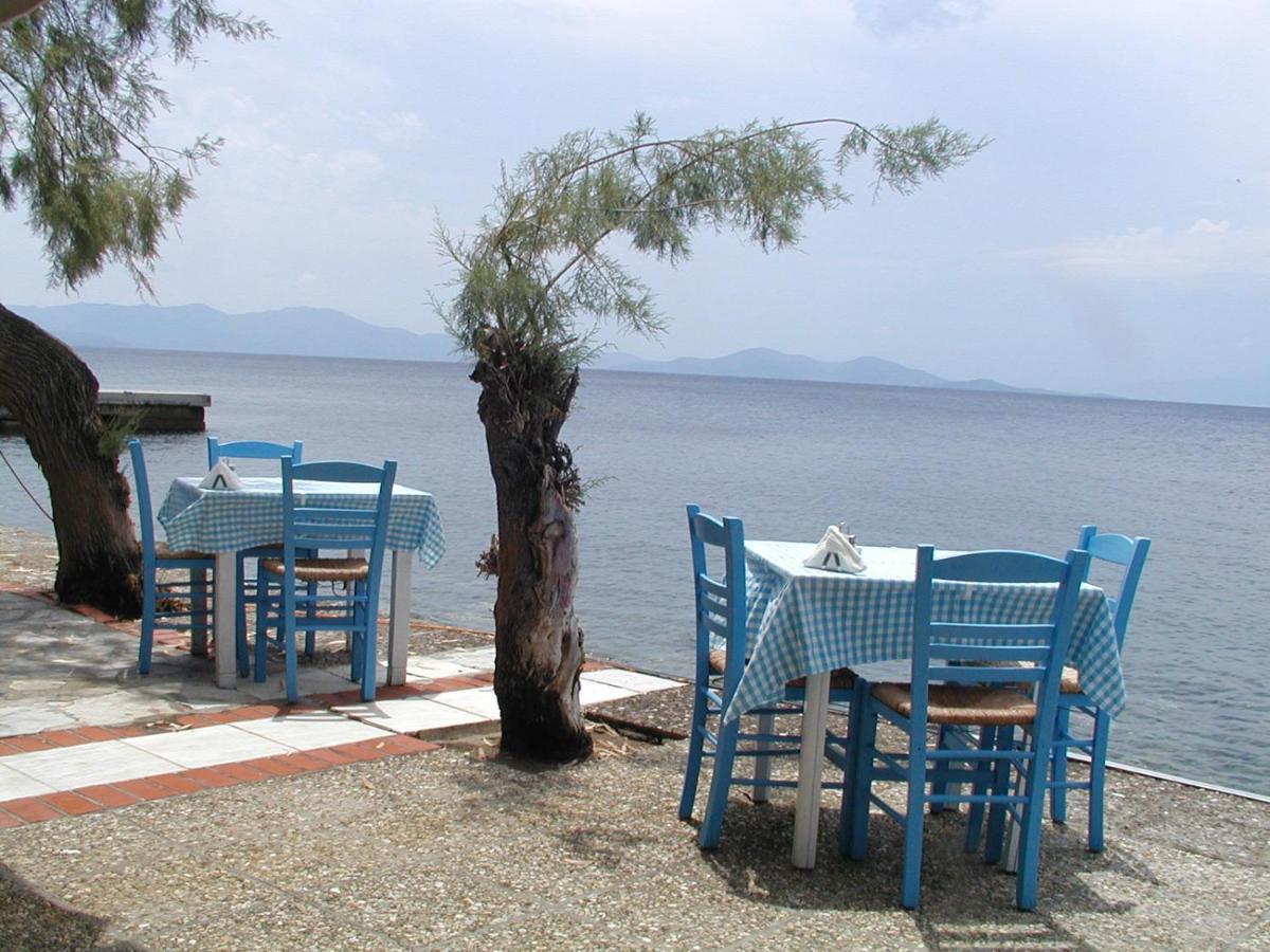 Villa Imelda Άφησσος Εξωτερικό φωτογραφία