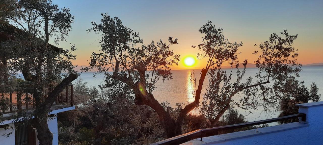 Villa Imelda Άφησσος Εξωτερικό φωτογραφία