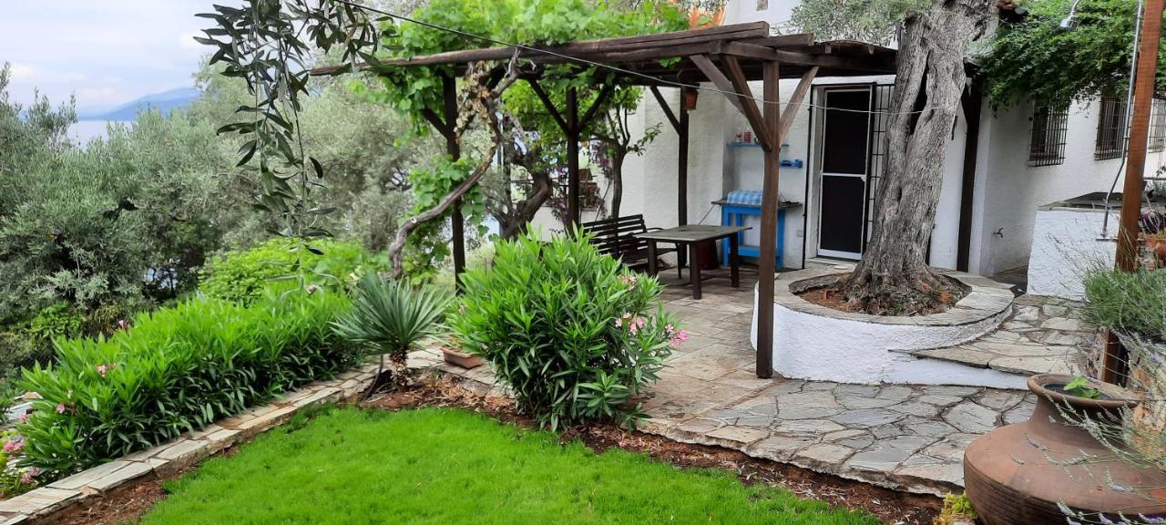 Villa Imelda Άφησσος Εξωτερικό φωτογραφία