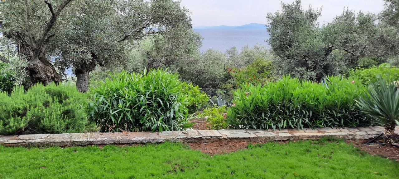 Villa Imelda Άφησσος Εξωτερικό φωτογραφία