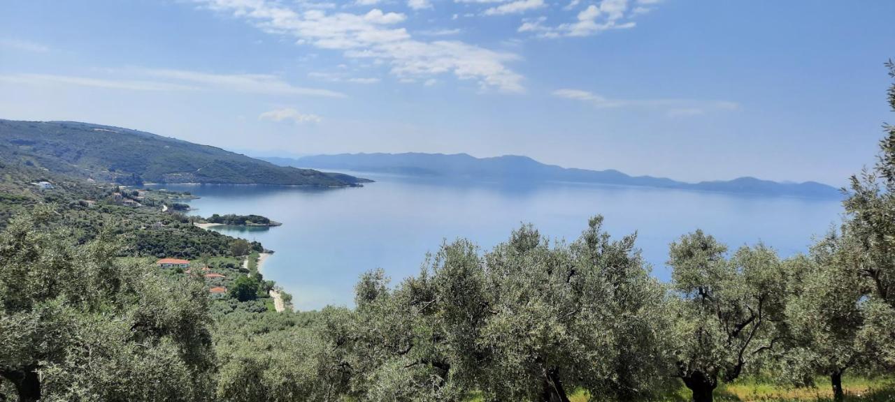 Villa Imelda Άφησσος Εξωτερικό φωτογραφία